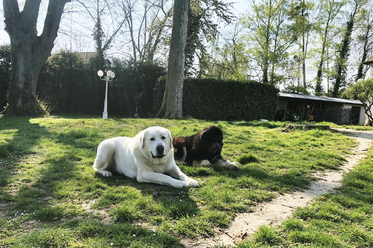 Les Grands Tilleuls Guignes Bagian luar foto